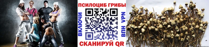ОМГ ОМГ зеркало  Чулым  Псилоцибиновые грибы MAGIC MUSHROOMS 