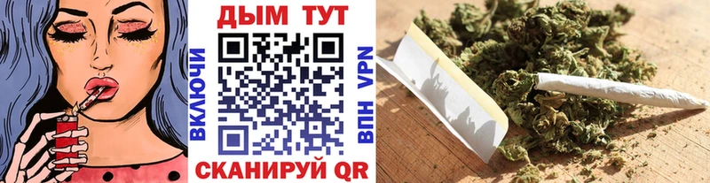 Шишки марихуана гибрид Чулым